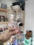 Copas de Gin x6