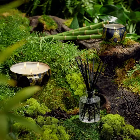 Vela Decorativa Moso Bamboo 113g 25H - comprar online