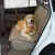 Capa Protetora de Banco para Carro - Pet até 10kg - comprar online