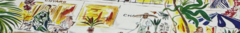 Banner da categoria SUMMER VIBES