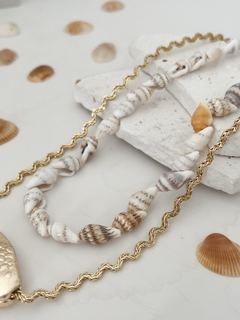 MIX PRONTO CHOKER CONCHAS + CORDÃO PEIXE DOURADO - kn