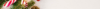 Banner kn