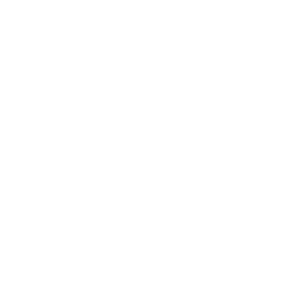 queenaccesoriosdigitales