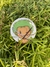 Image of One Piece Bottom