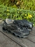 MIZUNO WAVE PROPHECY 8 - comprar online