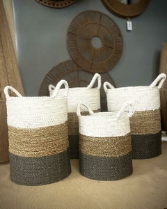 CANASTOS SEAGRASS