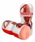 MASTURBADOR MASCULINO PASSION CUP - comprar online