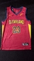CLEVELAND CAVALIERS - LEBRON JAMES