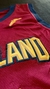 CLEVELAND CAVALIERS - LEBRON JAMES