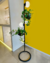 Coluna Brazil - comprar online