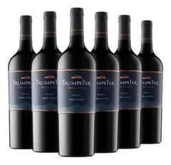 Caja Vino Trumpeter Varietal Syrah 750cc X 6unid - Dh Tienda - comprar online