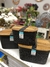 Organizador Cesto Europa con Tapa de Bambu Negro Chico 268.006.M03 - comprar online
