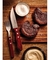 CUCHILLO ASADO POLYWOOD 5" TRAMONTINA en internet