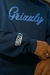 MOLETOM GRIZZLY SCRIPT LOGO CREW NECK na internet