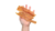 Peito de Frango 100g na internet