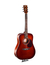 Guitarra Acustica Cort Earth 70 Brown Con Funda - comprar online