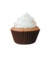 Forminha Para Mini Cupcake Marrom N.02 Lisa Mago 45un - comprar online