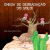 O Que Podemos Fazer - Chega de Degradação do Solo