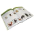 Montessori - Meu Livro de Atividades - Animais Silvestres - comprar online
