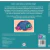 Livro Cartonado Primeiras Emoções - Tristeza - Ciranda Cultural - comprar online
