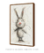 Quadro Decorativo - Coelho Rabisco - loja online