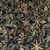 ANIS ESTRELADO - 50g - comprar online