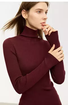 AMII suéter minimalista para mujer 2023 invierno nuevo Simple ajustado cuello alto elástico cálido sólido jerseys Mujer 12323075 - Eleganzie