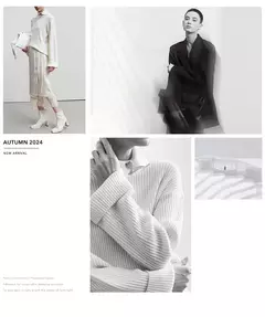 Image of AMII minimalista 2024 otoño mujer solapa nueva camisa suelta falda viajero botón geométrico oblicuo falso vestido de dos piezas 12443194