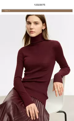 AMII suéter minimalista para mujer 2023 invierno nuevo Simple ajustado cuello alto elástico cálido sólido jerseys Mujer 12323075 - Eleganzie
