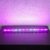 Lampara Led Sumergible Acuario Pecera Azul Blanca 55 cm LED XPERT en internet