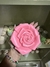 ROSA XL