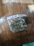 Salvia blanca 15grs