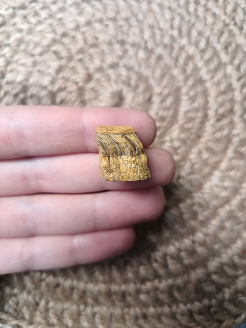 Ojo de tigre en bruto por unidad 1a3cm