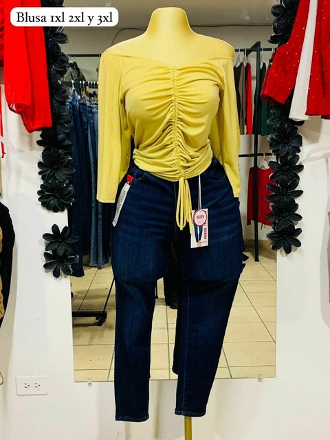 Blusa