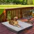 Cama ortopédica grande para perro, Perrera de espuma viscoelástica, impermeabl - Tienda Perrionni