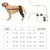 Manga de recuperación para perros, rodillera trasera, soporte para articulacion - tienda en línea