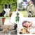 Pollo chillón de dibujos animados para mascotas, juguete interactivo para masti