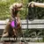 Correas fuertes de nailon reflectantes para perros, correa reforzada con mango s en internet