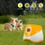 Lanzador automático de pelotas para perros pequeños a medianos, lanzador de te en internet