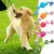 Juguete masticable de cuerda de algodón para perro, juguete de limpieza mastica - Tienda Perrionni
