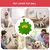 Bolas chirriantes para perros medianos, grandes y pequeños, cara sonriente, jug