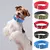 Collar de nailon ajustable para mascotas, correa circular para el cuello con ani en internet