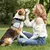 Bolsa de entrenamiento para perros, contenedor de cierre automático portátil c - Tienda Perrionni