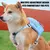 Mochila con arnés para perro, Bolsa Escolar para cachorros, diseño de anillo d - Tienda Perrionni