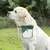 Bolsa de entrenamiento para perros, contenedor de cierre automático portátil c - tienda en línea
