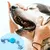 Juguete masticable de cuerda de algodón para perro, juguete de limpieza mastica - Tienda Perrionni