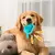 Juguetes mordedores resistentes para perros, juguetes de dentición para perros,
