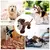 Juguetes de animales de peluche para perros, juguetes para masticar Súper suave - Tienda Perrionni