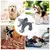 Juguetes de animales de peluche para perros, juguetes para masticar Súper suave