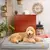 Cama impermeable para perros pequeños, medianos y grandes, de espuma, lavable, - comprar en línea